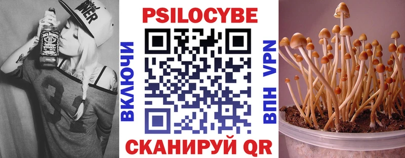 Галлюциногенные грибы GOLDEN TEACHER Новоалександровск