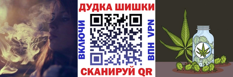 Шишки марихуана план  где найти наркотики  мега маркетплейс  Новоалександровск 